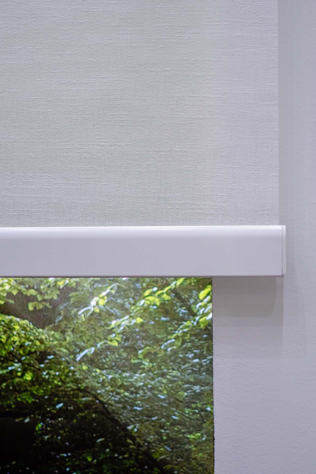 Roller Blinds